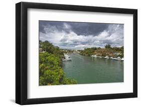 River, La Romana, Dominican Republic-Massimo Borchi-Framed Photographic Print