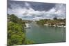 River, La Romana, Dominican Republic-Massimo Borchi-Mounted Photographic Print