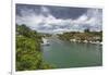 River, La Romana, Dominican Republic-Massimo Borchi-Framed Photographic Print