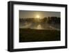 River Landscape, the Rhine, Fog Mood, Sunrise, Speyer, Rhineland-Palatinate, Germany-Ronald Wittek-Framed Premium Photographic Print