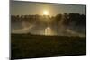 River Landscape, the Rhine, Fog Mood, Sunrise, Speyer, Rhineland-Palatinate, Germany-Ronald Wittek-Mounted Premium Photographic Print