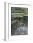 River Landscape with Water Lilies-Julia Beck-Framed Premium Giclee Print