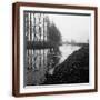 Brown Frame