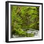 River Le Dessoubre, Cirque De La Consolation, Doubs, France-Rainer Mirau-Framed Photographic Print