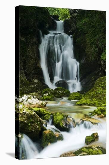 River Lepenjica Cascading over Rocks, Triglav National Park, Slovenia, July 2009-Zupanc-Stretched Canvas