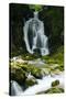 River Lepenjica Cascading over Rocks, Triglav National Park, Slovenia, July 2009-Zupanc-Stretched Canvas