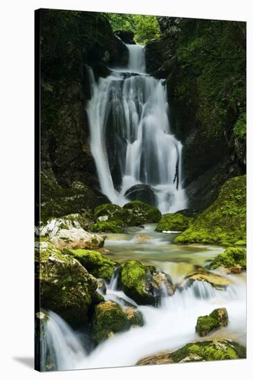 River Lepenjica Cascading over Rocks, Triglav National Park, Slovenia, July 2009-Zupanc-Stretched Canvas