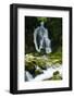 River Lepenjica Cascading over Rocks, Triglav National Park, Slovenia, July 2009-Zupanc-Framed Photographic Print