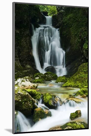 River Lepenjica Cascading over Rocks, Triglav National Park, Slovenia, July 2009-Zupanc-Mounted Photographic Print