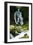 River Lepenjica Cascading over Rocks, Triglav National Park, Slovenia, July 2009-Zupanc-Framed Photographic Print