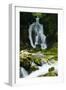 River Lepenjica Cascading over Rocks, Triglav National Park, Slovenia, July 2009-Zupanc-Framed Photographic Print