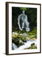 River Lepenjica Cascading over Rocks, Triglav National Park, Slovenia, July 2009-Zupanc-Framed Photographic Print