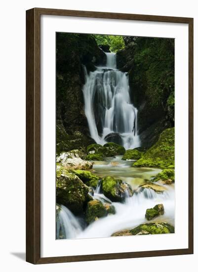 River Lepenjica Cascading over Rocks, Triglav National Park, Slovenia, July 2009-Zupanc-Framed Photographic Print