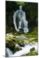 River Lepenjica Cascading over Rocks, Triglav National Park, Slovenia, July 2009-Zupanc-Mounted Photographic Print