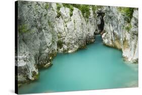 River Lepenjica Flowing Through Narrow Gap in Rocks, Triglav National Park, Slovenia, June 2009-Zupanc-Stretched Canvas