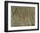 River Lined by Men, Relief from Nineveh, Iraq-null-Framed Giclee Print