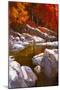 River Lines with Stones in Autumn Forest,Illustration Painting-Tithi Luadthong-Mounted Art Print