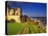 River Loire, Saumur Chateau and Pont Cessart, Saumur, Maine-Et-Loire, Loire Valley, France-David Hughes-Stretched Canvas