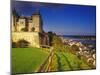 River Loire, Saumur Chateau and Pont Cessart, Saumur, Maine-Et-Loire, Loire Valley, France-David Hughes-Mounted Photographic Print