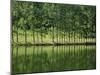River Lot Near Entraygues, Midi Pyrenees, France-Michael Busselle-Mounted Photographic Print