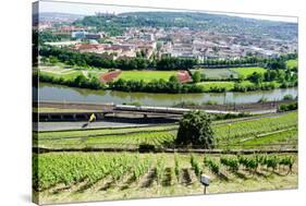 River Main, Wurzburg, Bavaria, Germany, Europe-Robert Harding-Stretched Canvas