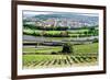 River Main, Wurzburg, Bavaria, Germany, Europe-Robert Harding-Framed Photographic Print