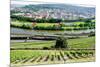 River Main, Wurzburg, Bavaria, Germany, Europe-Robert Harding-Mounted Photographic Print