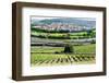 River Main, Wurzburg, Bavaria, Germany, Europe-Robert Harding-Framed Photographic Print