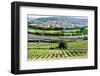 River Main, Wurzburg, Bavaria, Germany, Europe-Robert Harding-Framed Photographic Print