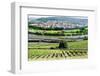 River Main, Wurzburg, Bavaria, Germany, Europe-Robert Harding-Framed Photographic Print