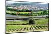 River Main, Wurzburg, Bavaria, Germany, Europe-Robert Harding-Mounted Photographic Print