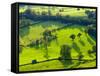 River Manifold Valley Near Ilam, Peak District National Park, Derbyshire, England-Alan Copson-Framed Stretched Canvas