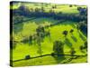 River Manifold Valley Near Ilam, Peak District National Park, Derbyshire, England-Alan Copson-Stretched Canvas