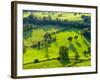 River Manifold Valley Near Ilam, Peak District National Park, Derbyshire, England-Alan Copson-Framed Photographic Print