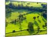 River Manifold Valley Near Ilam, Peak District National Park, Derbyshire, England-Alan Copson-Mounted Photographic Print