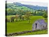 River Manifold Valley Near Ilam, Peak District National Park, Derbyshire, England-Alan Copson-Stretched Canvas