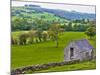 River Manifold Valley Near Ilam, Peak District National Park, Derbyshire, England-Alan Copson-Mounted Photographic Print