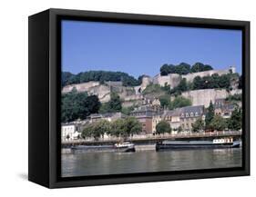 River Meuse and Citadel, Namur, Belgium-Danielle Gali-Framed Stretched Canvas