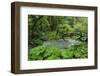 River Near Syri I Kalter (The Blue Eye) Spring, Albania, June 2009 Wwe Book-Geidemark-Framed Photographic Print