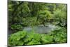 River Near Syri I Kalter (The Blue Eye) Spring, Albania, June 2009 Wwe Book-Geidemark-Mounted Photographic Print