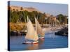 River Nile, Aswan, Upper Egypt, Egypt, North Africa, Africa-Alan Copson-Stretched Canvas