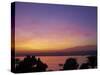 River Nile at Aswan, Egypt, North Africa, Africa-Tuul-Stretched Canvas