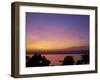 River Nile at Aswan, Egypt, North Africa, Africa-Tuul-Framed Photographic Print