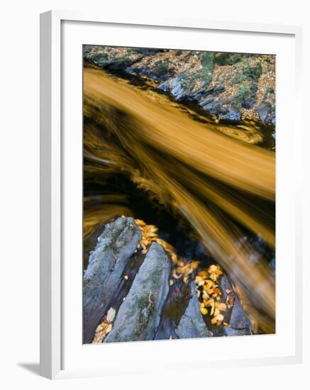 River North Esk Loaded with Beech Leaves, Angus, Scotland, UK, October 2007-Niall Benvie-Framed Photographic Print