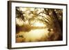 River Oaks II-Alan Hausenflock-Framed Photographic Print