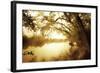 River Oaks II-Alan Hausenflock-Framed Photographic Print