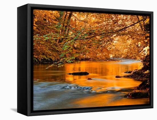 River of Dreams-Philippe Sainte-Laudy-Framed Stretched Canvas