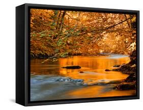 River of Dreams-Philippe Sainte-Laudy-Framed Stretched Canvas