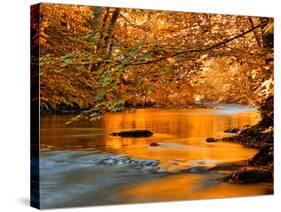 River of Dreams-Philippe Sainte-Laudy-Stretched Canvas