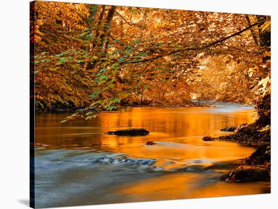 River of Dreams-Philippe Sainte-Laudy-Stretched Canvas